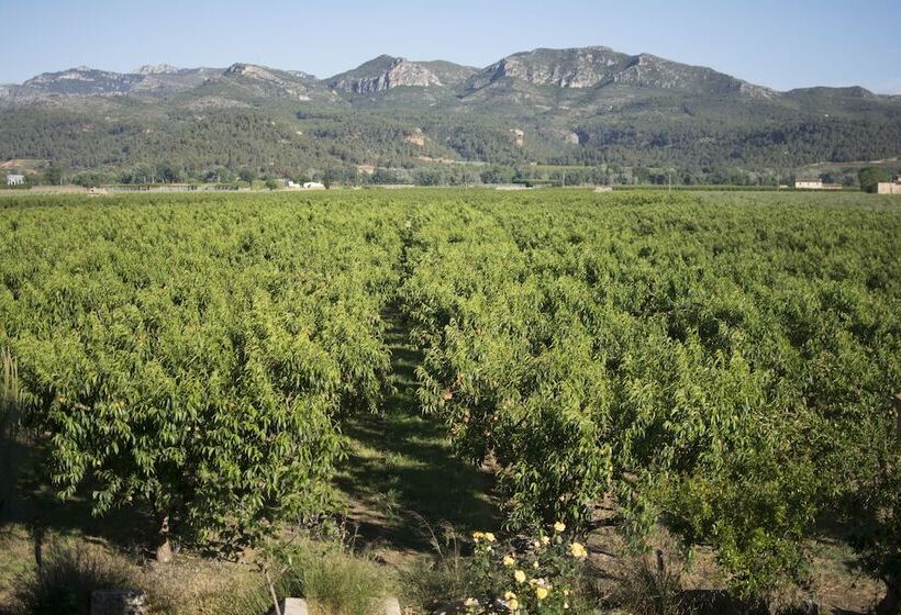 Mas Taniet Hotel Rural