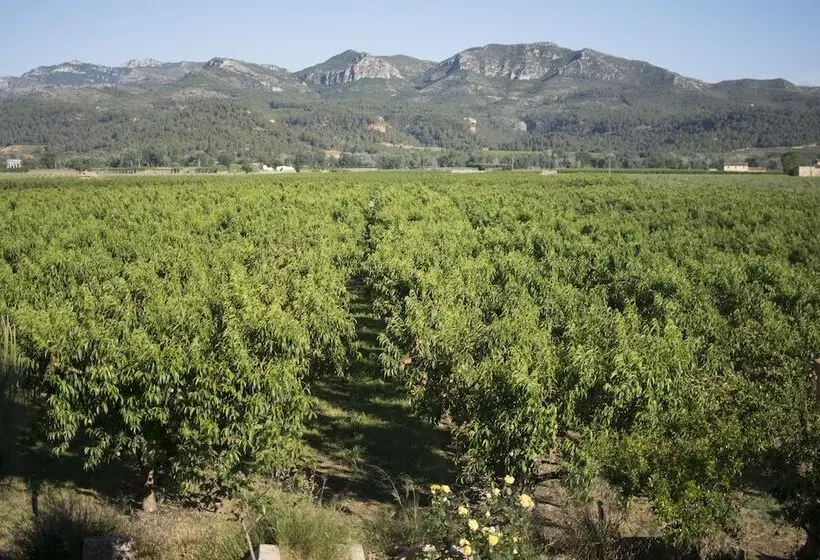 Mas Taniet Hotel Rural