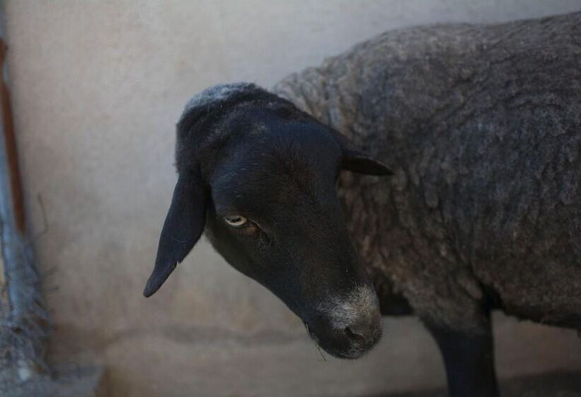 Mas Taniet Hotel Rural