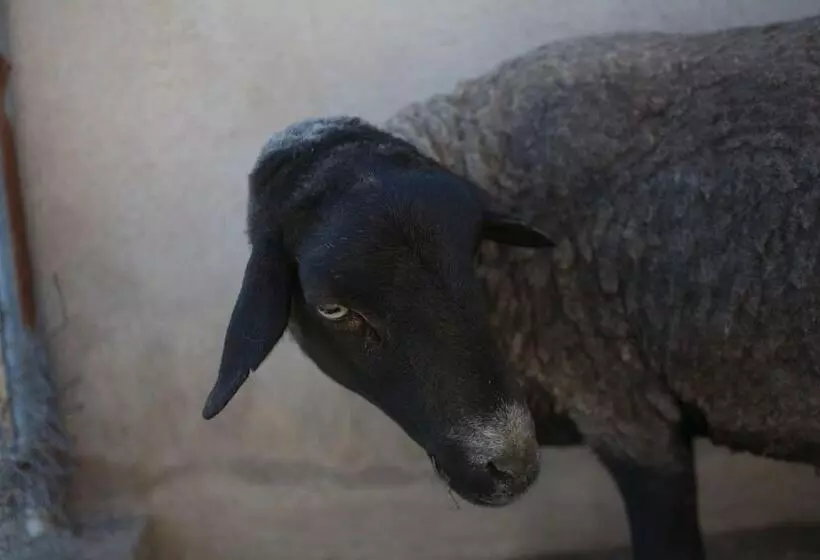 Mas Taniet Hotel Rural