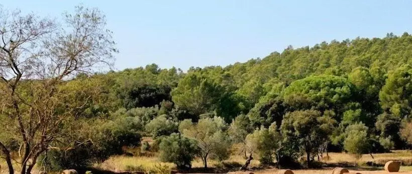 Majatalo Can Barrull