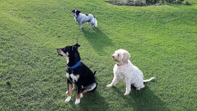 Majatalo Casas Rurales El Terrero