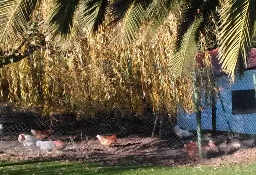 Majatalo Casas Rurales El Terrero