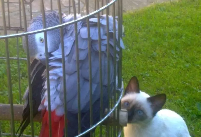 Majatalo Casas Rurales El Terrero