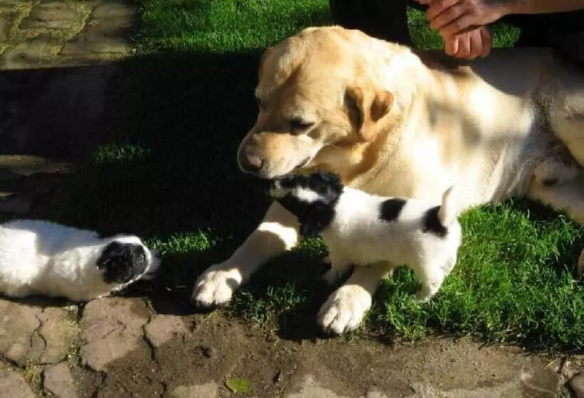 Majatalo Casas Rurales El Terrero