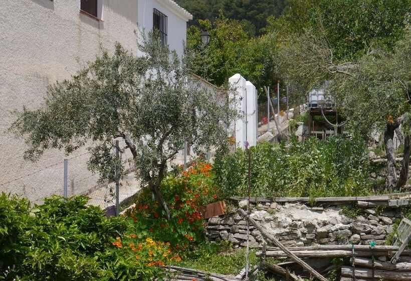 פנסיון El Molino Del Abuelo