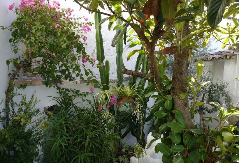 פנסיון El Molino Del Abuelo