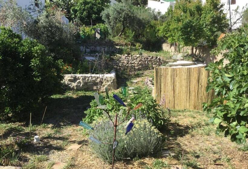 פנסיון El Molino Del Abuelo