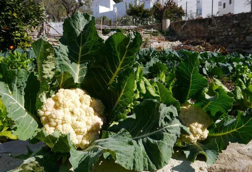 פנסיון El Molino Del Abuelo