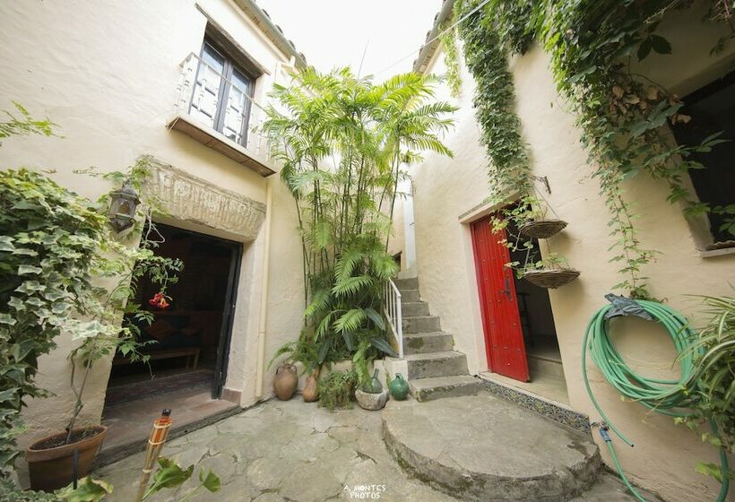 پانسیون La Posada Xvi