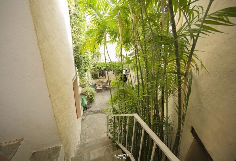 پانسیون La Posada Xvi