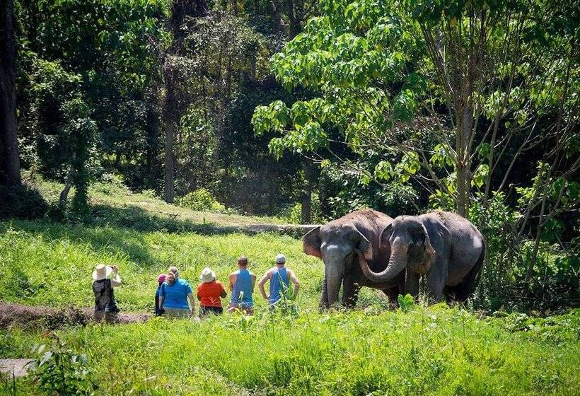 Boutique Resort Private Pool Villa