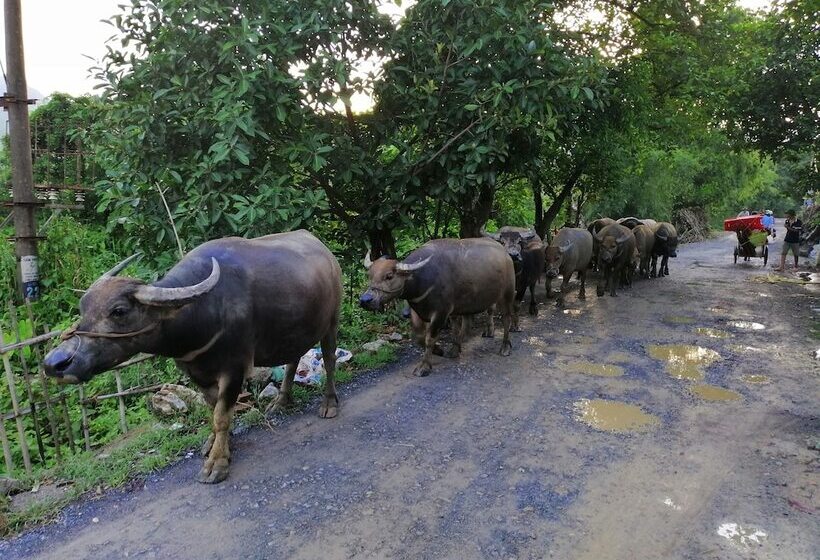 هتل Limestone View Homestay