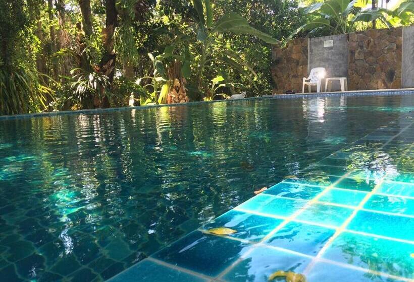 بنسيون Fern House Retreat