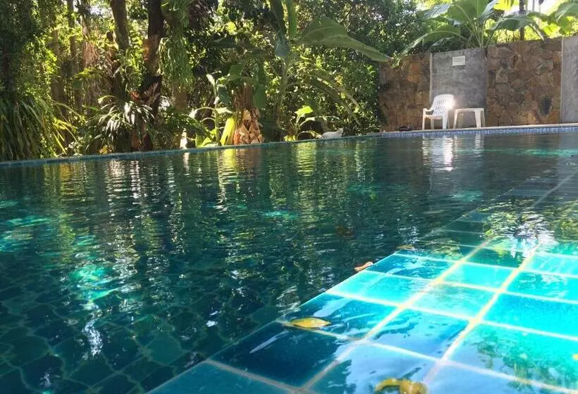 Majatalo Fern House Retreat