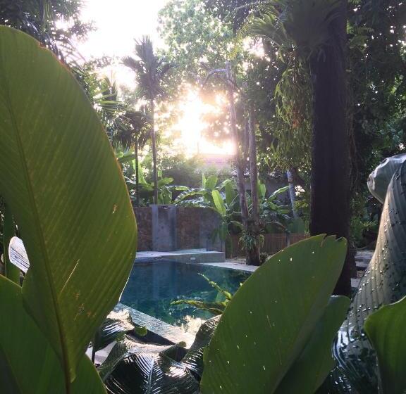 بنسيون Fern House Retreat