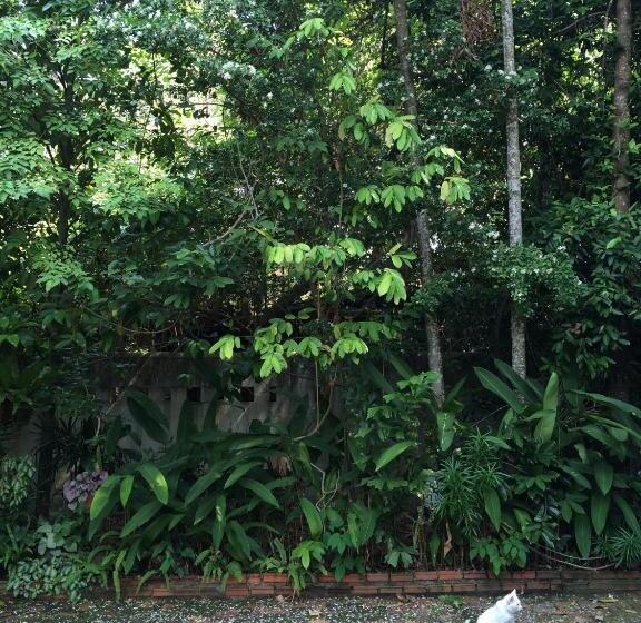 بنسيون Fern House Retreat