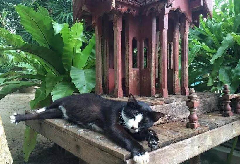 Majatalo Fern House Retreat