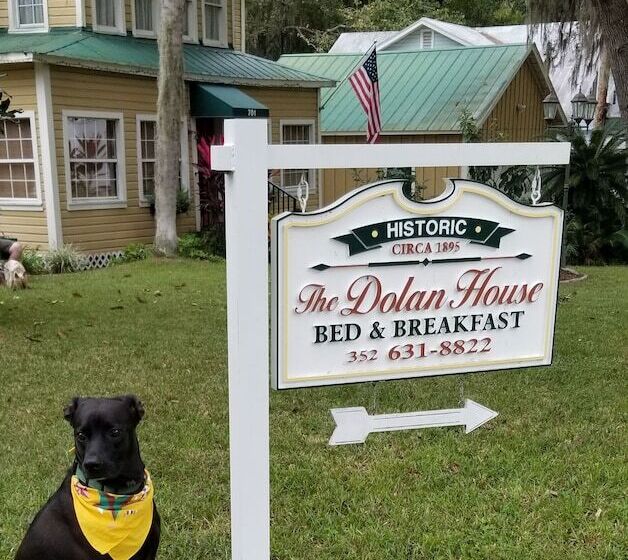 Dolan House B&b