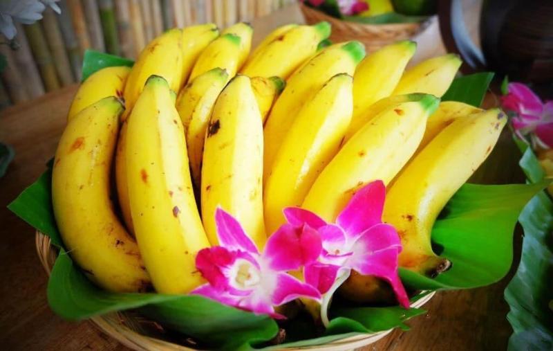 בית מלון כפרי Majestic Sea View Resort