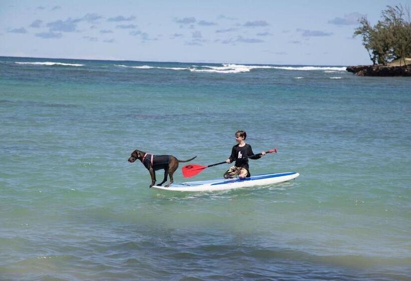 Ocean Villas At Turtle Bay