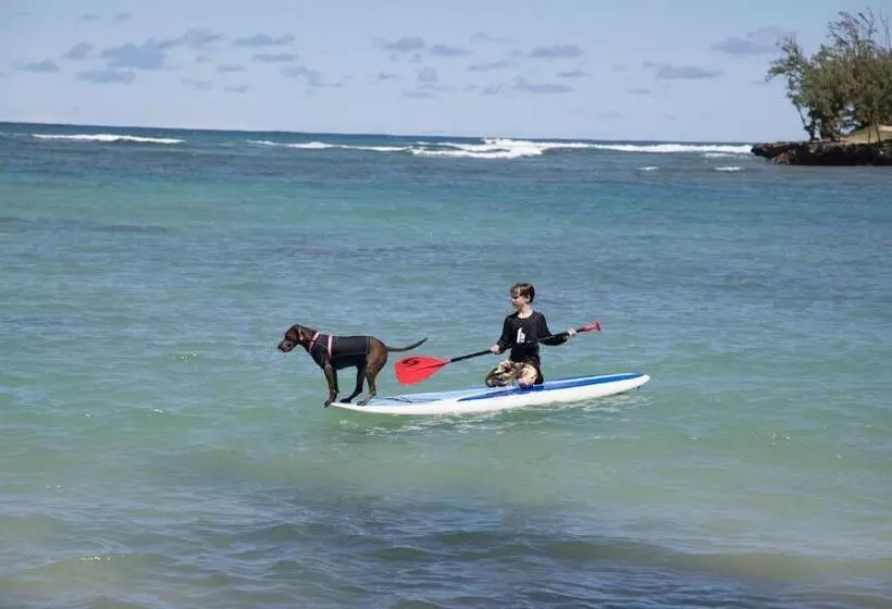 Ocean Villas At Turtle Bay