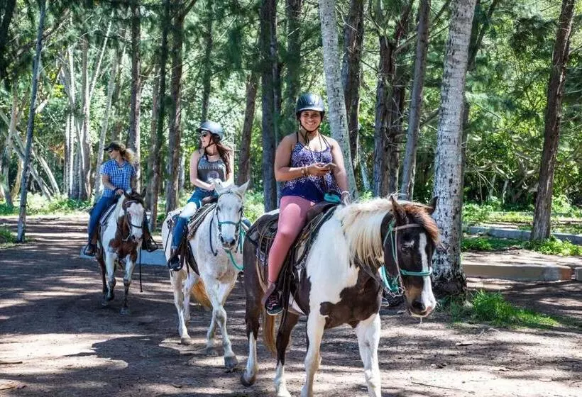 Ocean Villas At Turtle Bay
