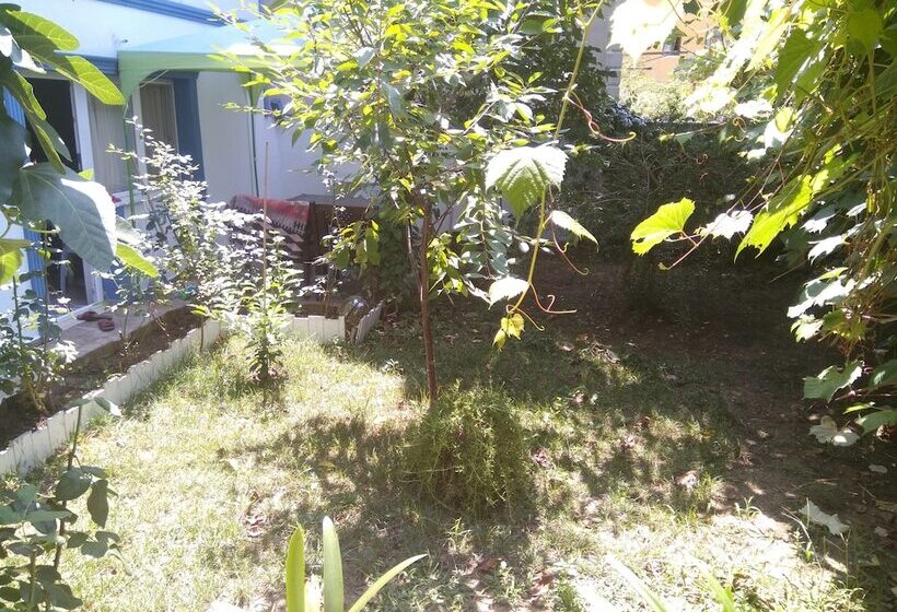 بنسيون Agva Ayse Hanim Guesthouse