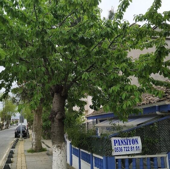 بنسيون Agva Ayse Hanim Guesthouse