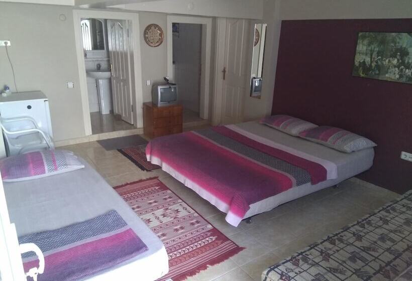 بنسيون Agva Ayse Hanim Guesthouse