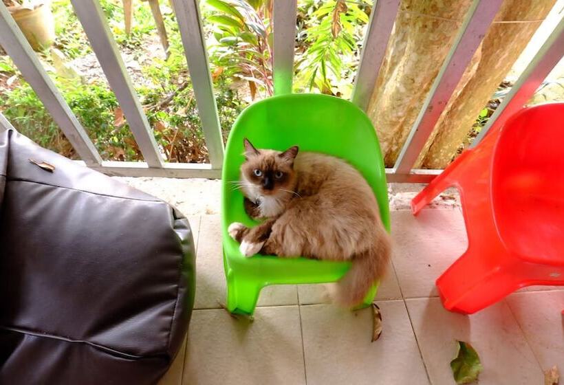 بنسيون Patty S Secret Garden