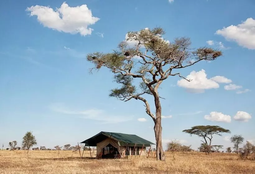 هتل Pumzika Luxury Safari Camp