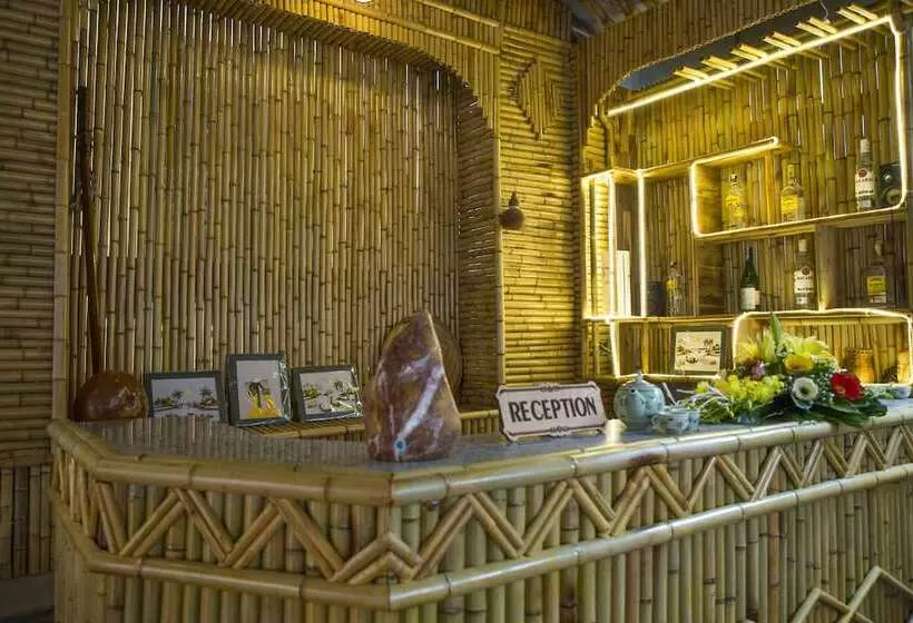 پانسیون Tam Coc Palm House