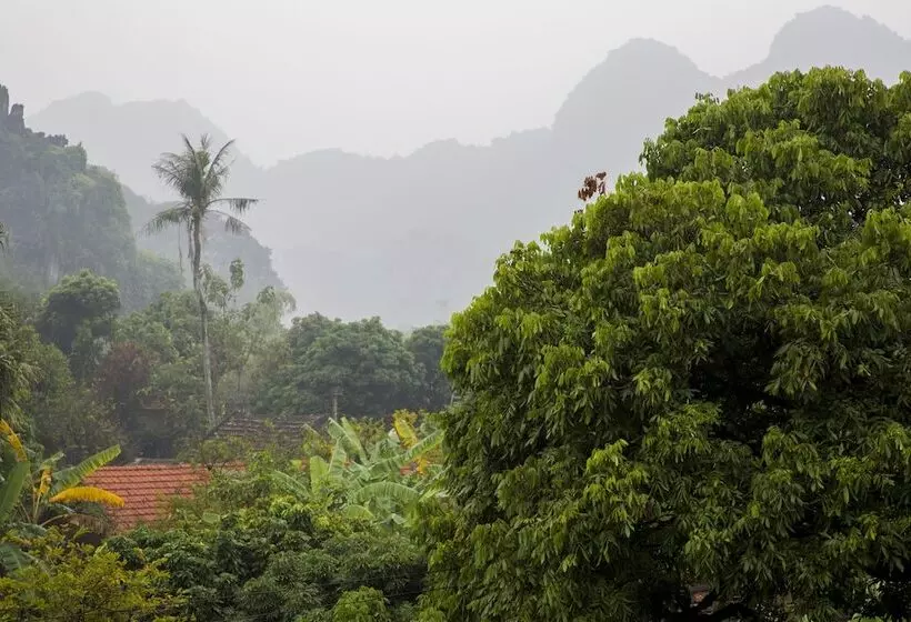پانسیون Tam Coc Palm House