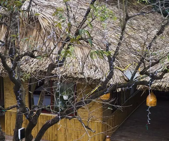 پانسیون Tam Coc Palm House