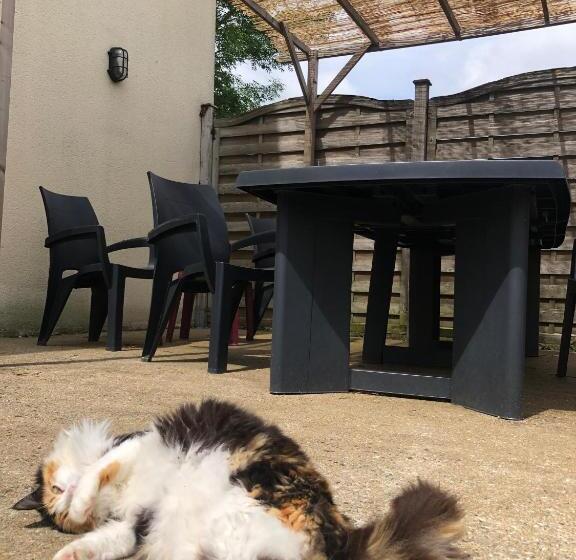 צימר Chambre D´hôtes La Jonchère