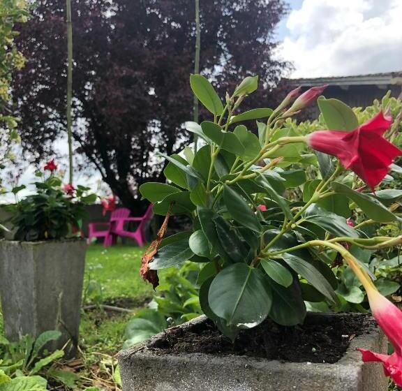 צימר Chambre D´hôtes La Jonchère