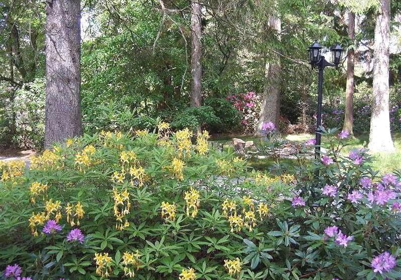 민박 Glendavan House