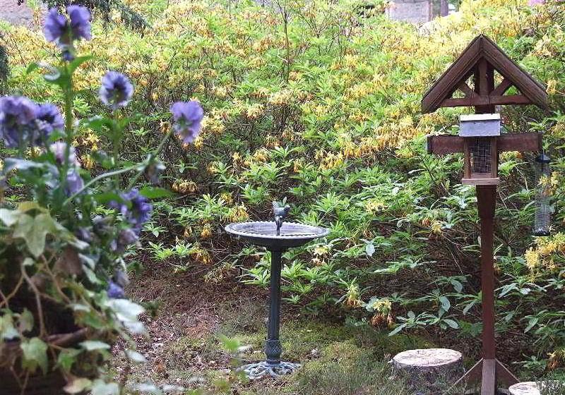 민박 Glendavan House