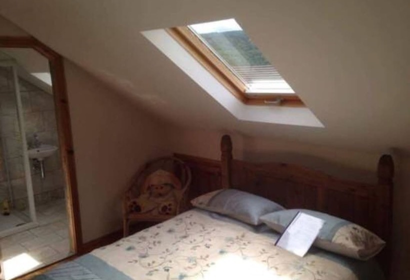 住宿加早餐  Tara House