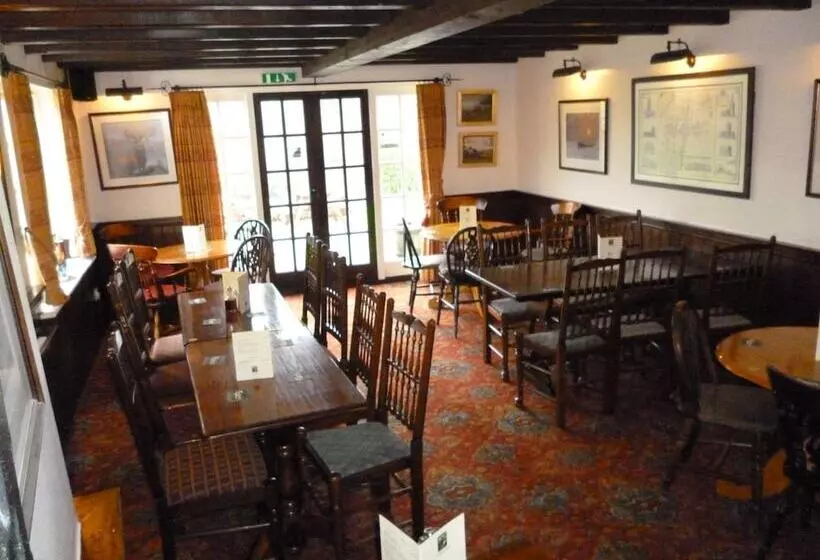 مسافرخانه The Stag