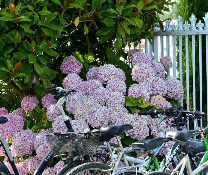 هتل Camping Les Places Dorees