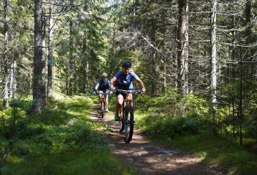 בית מלון כפרי Uskavigården