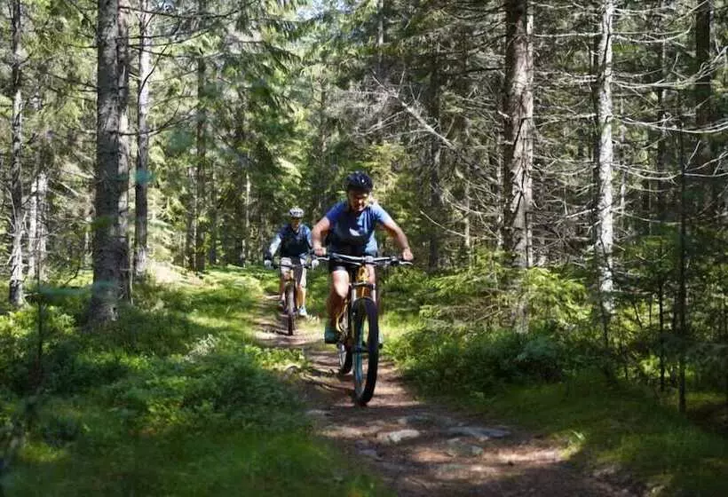 ホテル Uskavigården