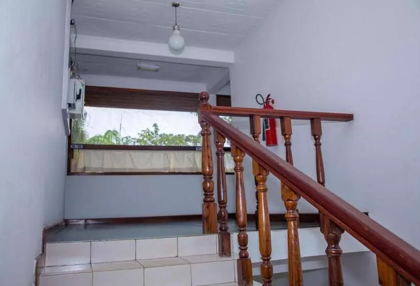 پانسیون Daisy Comfort Home