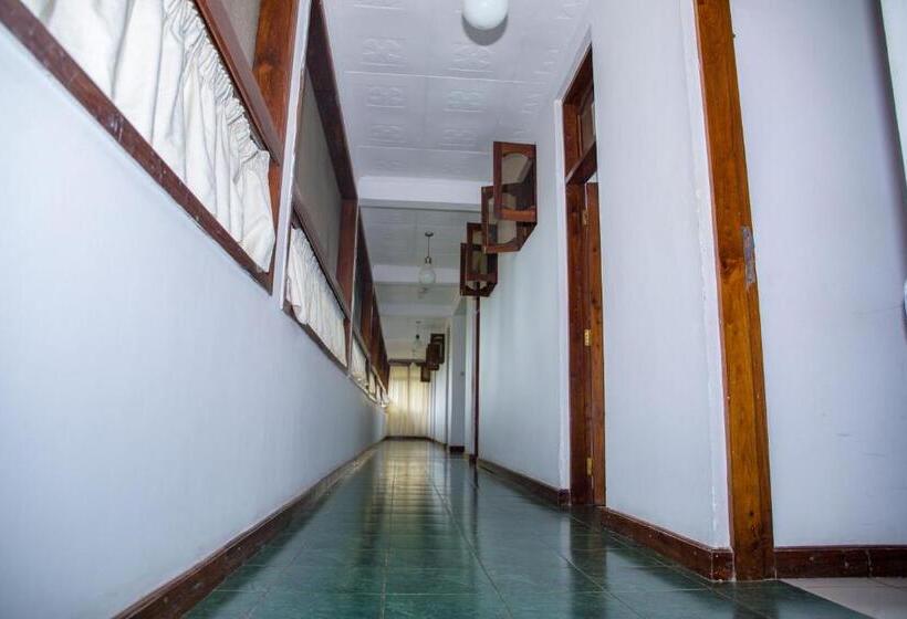 پانسیون Daisy Comfort Home