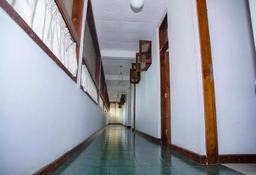 پانسیون Daisy Comfort Home