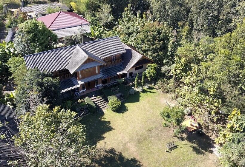 بنسيون The Local Story Home Stay 1