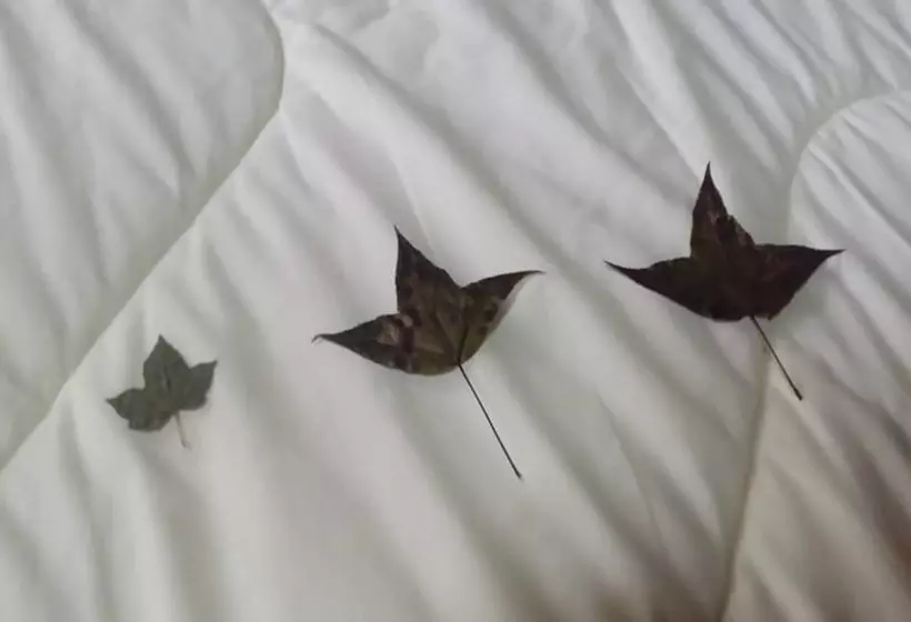 ペンション The Local Story Home Stay 1