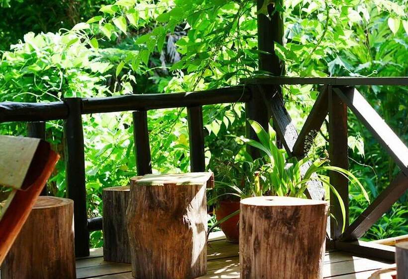 بنسيون The Local Story Home Stay 1